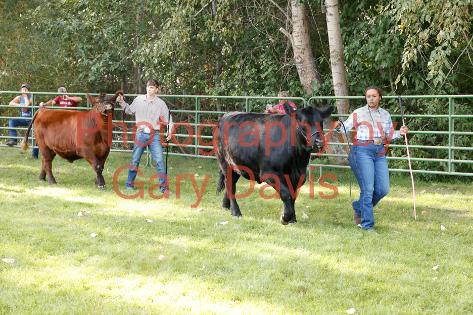 _MG_0036 (2)